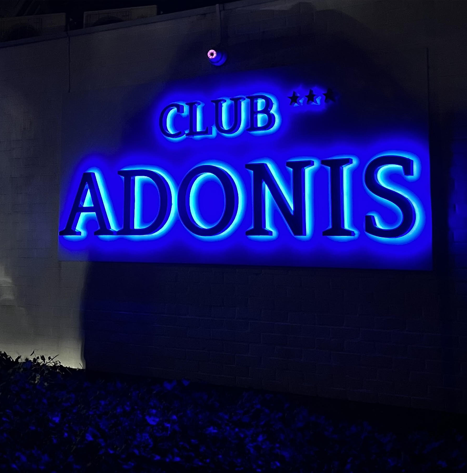 Club Adonis -  Homo Erotische Nachtclub Erotische Sauna Volwassenvermaak