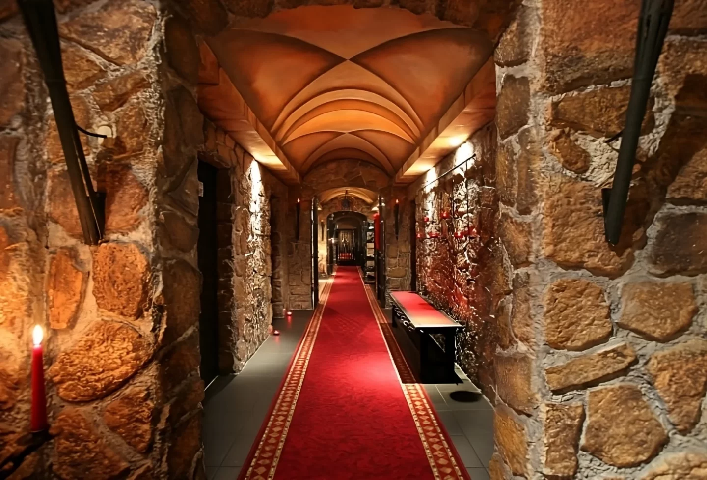 Castell Roissy -  Fétichisme Divertissement pour adultes Club de nuit érotique BDSM