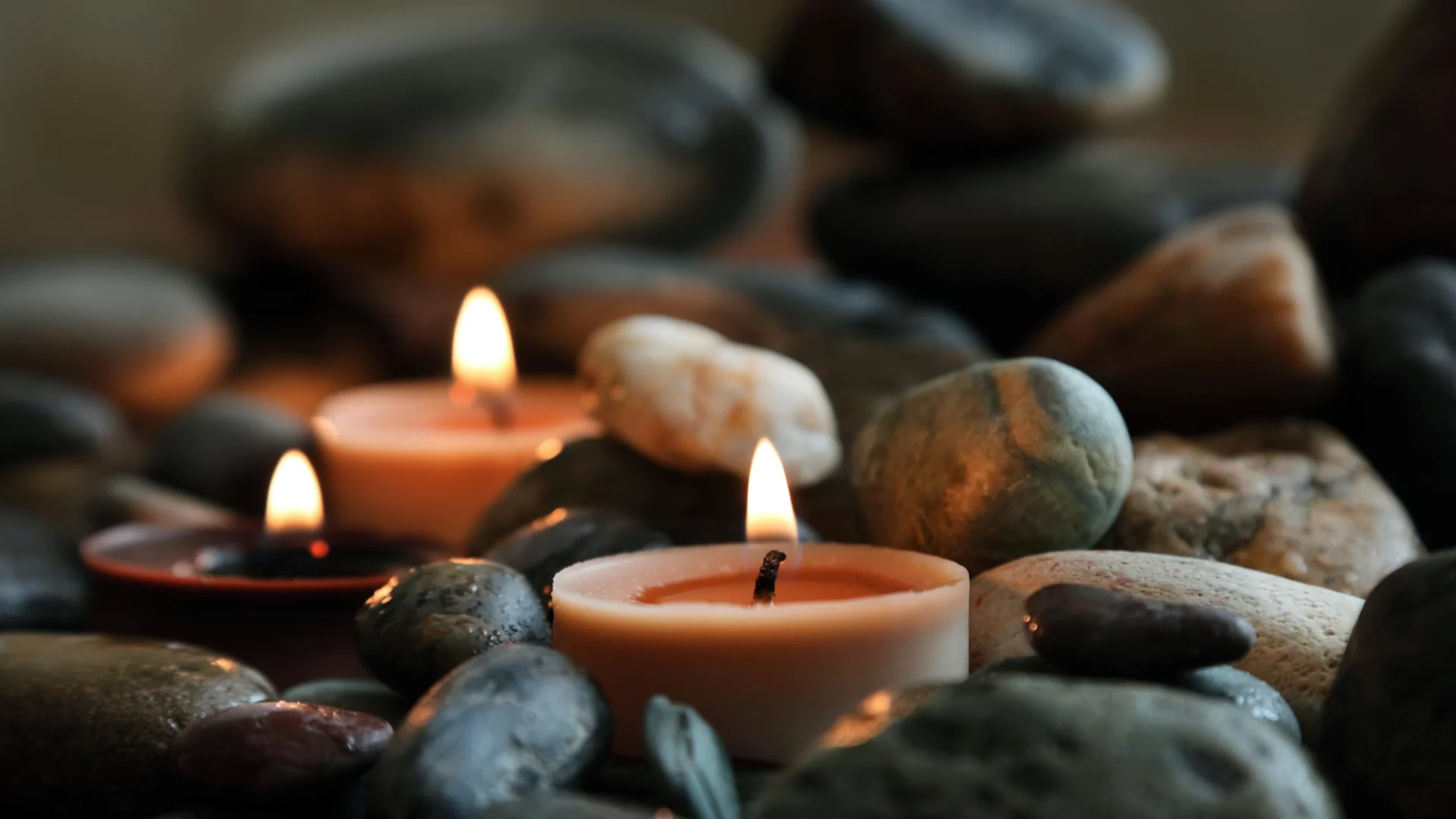 All of Zen -  Erotisk massage Fetisch Vuxenunderhållning BDSM