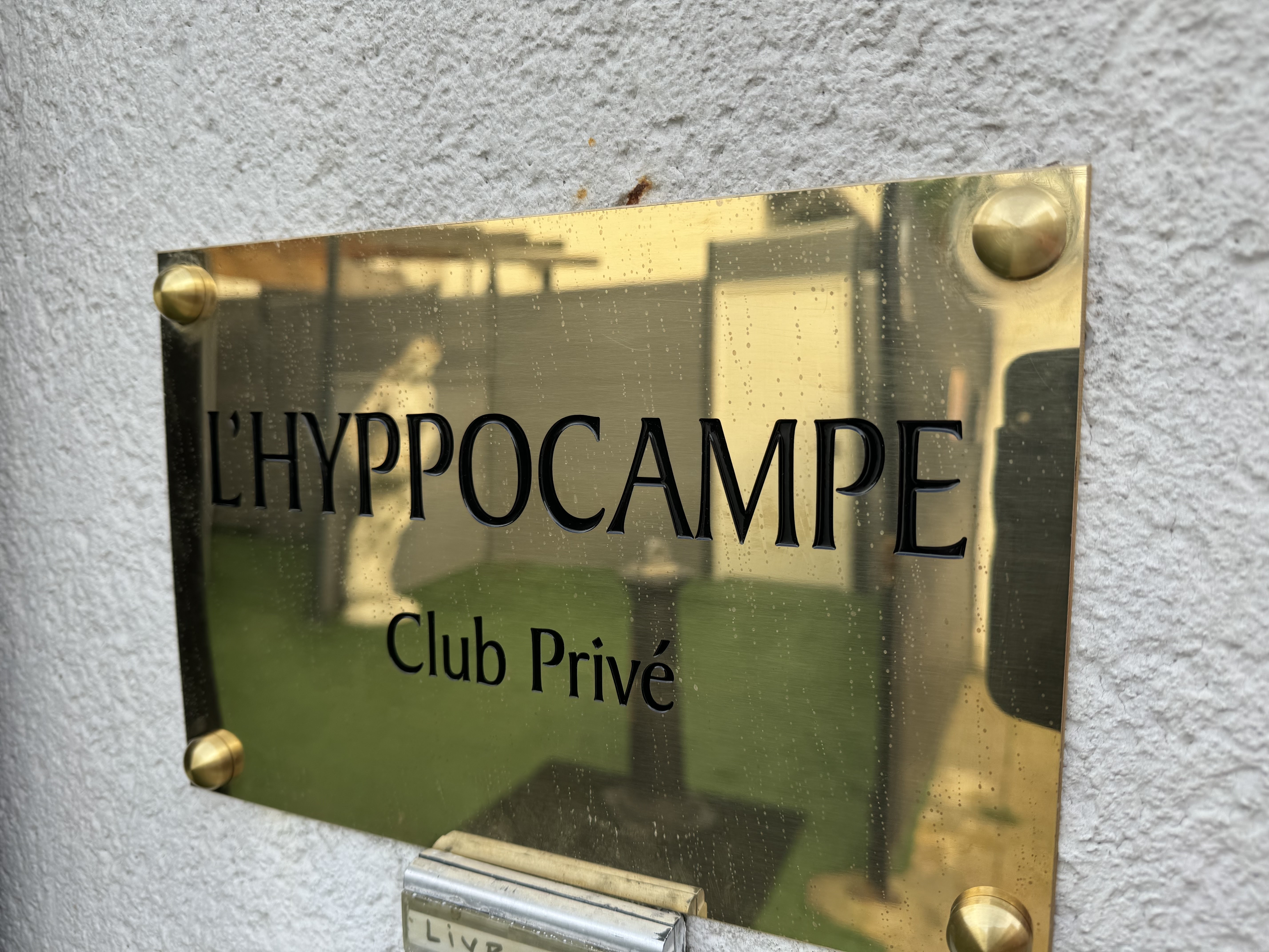 L'Hyppocampe - 