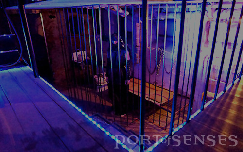 Port of Senses - 