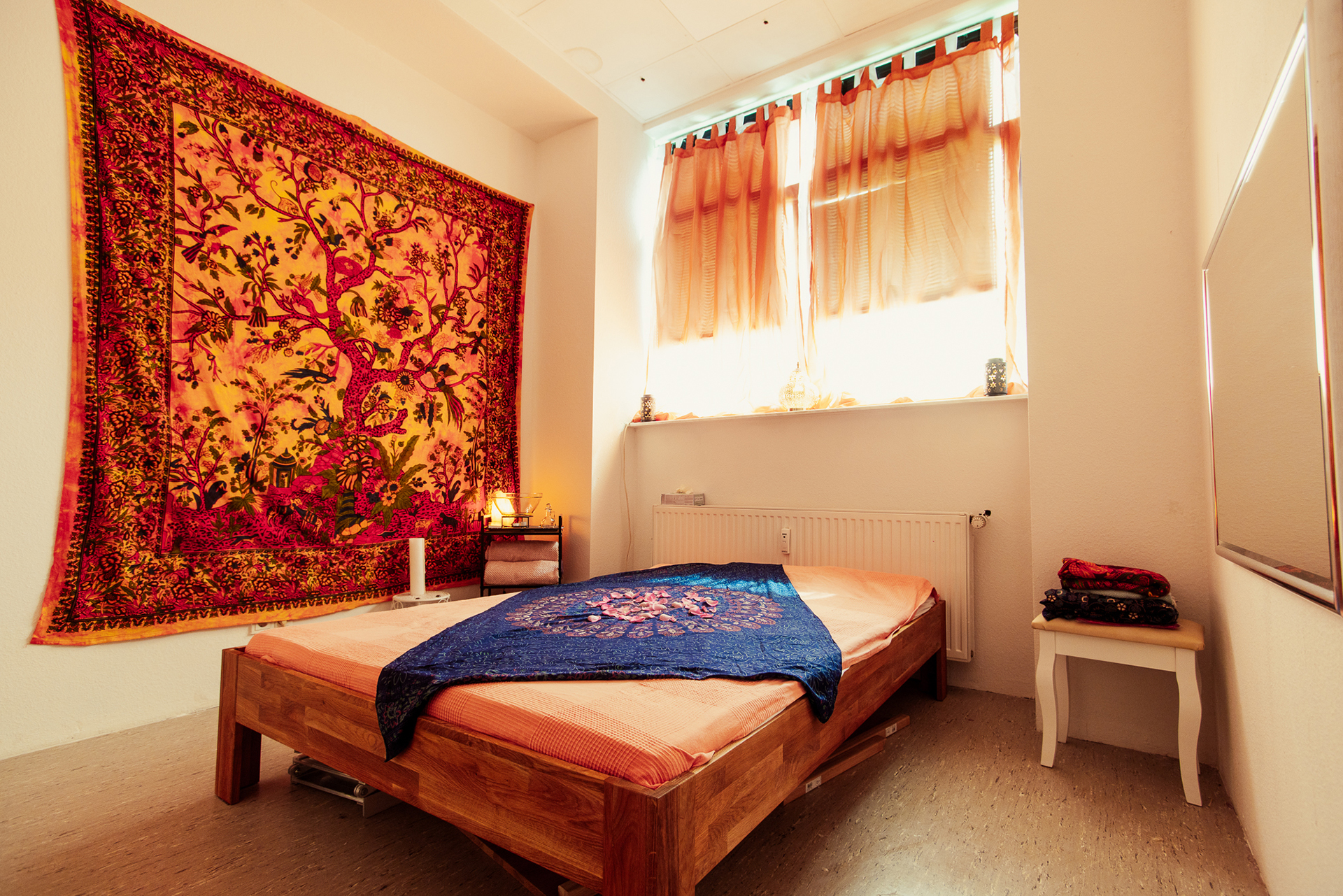 Institut IMS - 