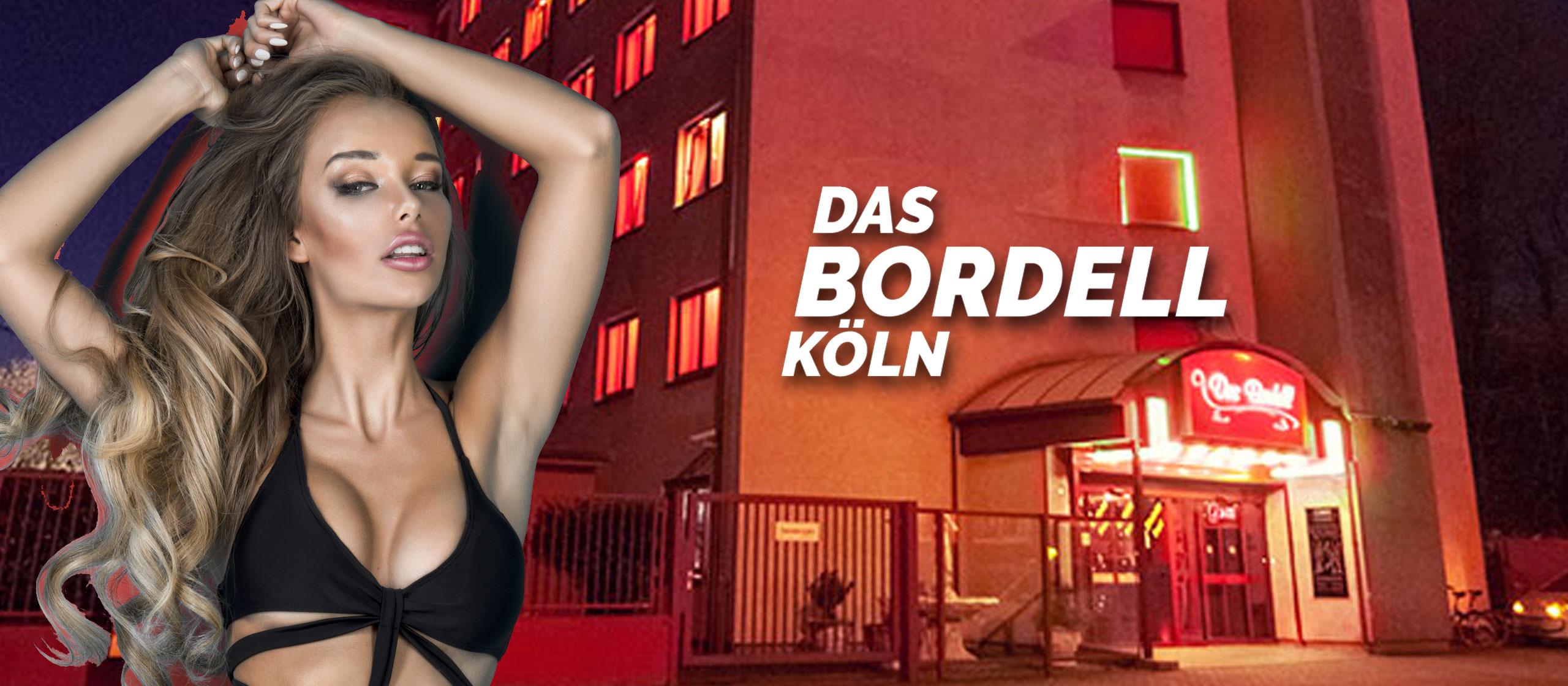 Das Bordell Köln -  Brothel Erotic Night Club Fetish