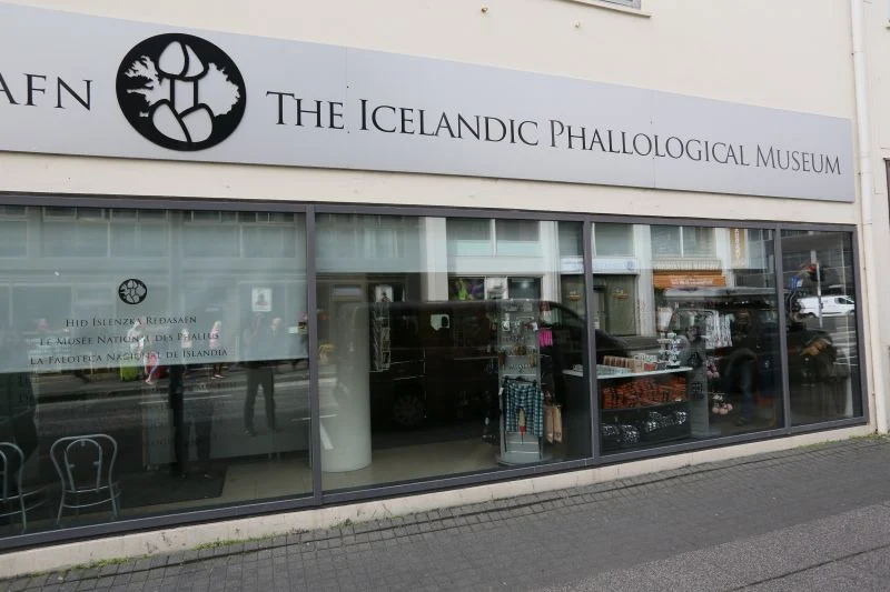 The Icelandic Phallological Museum -  Seksmuseum