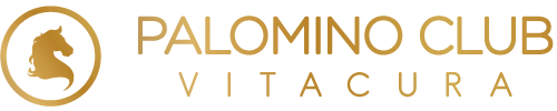 Palomino Club Vitacura -  Gentlemans Klubb Erotisk nattklubb Stripbar Vuxenunderhållning