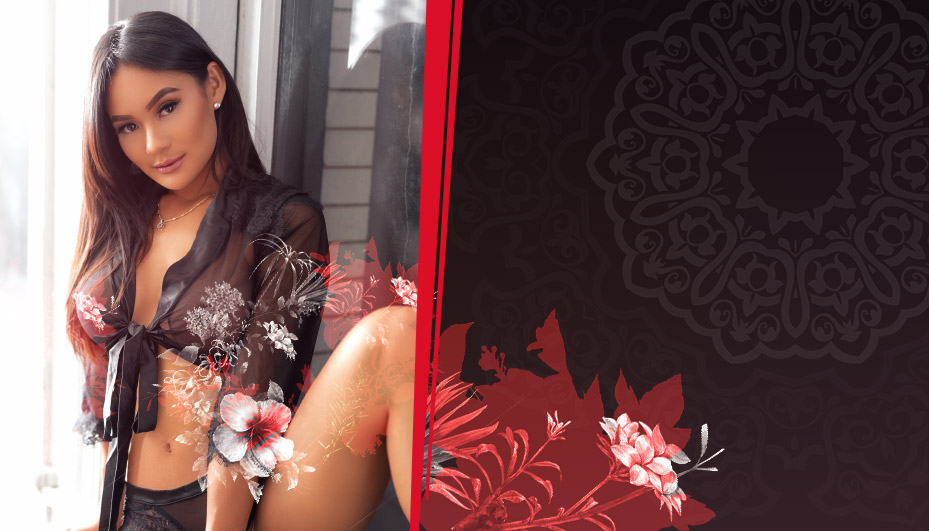 Paradise Gentleman's Club - 