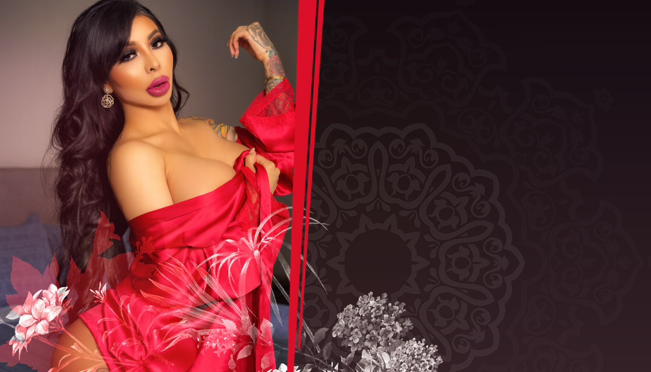 Paradise Gentleman's Club - 