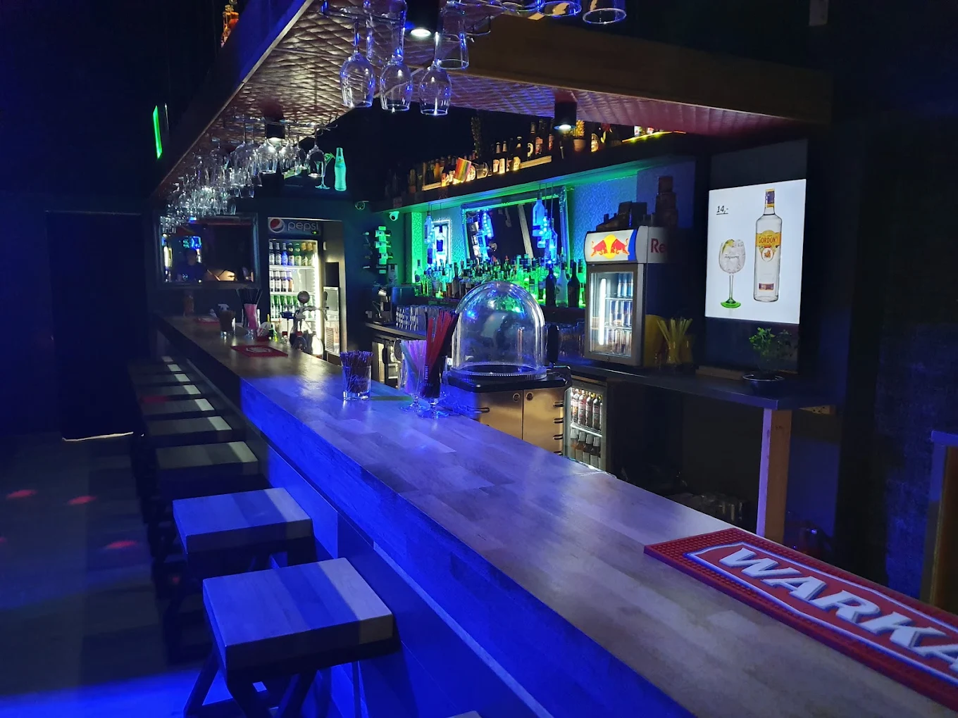 Cactus -  Erotic Night Club