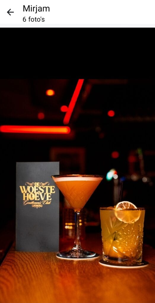 Sexclub de Woeste Hoeve - Day & Nightclub Groningen -  Brothel Strip Club
