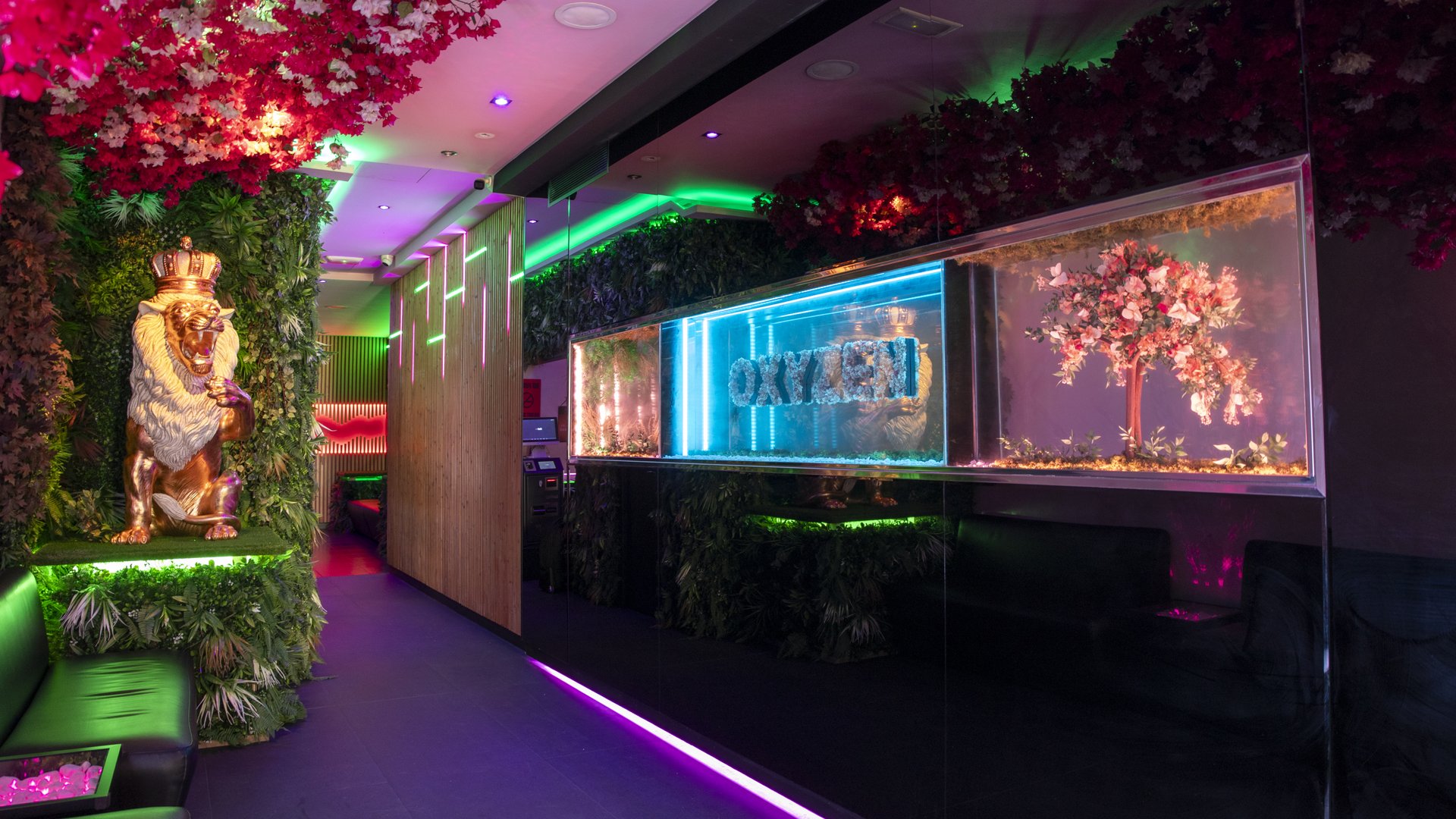 Oxyzen Club Barcelona -  Club de Caballeros Acompañante Club Nocturno Erótico
