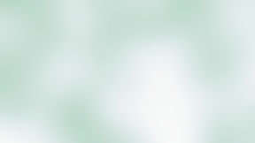 TANTRA Wellness - Madison -  Erotic Massage