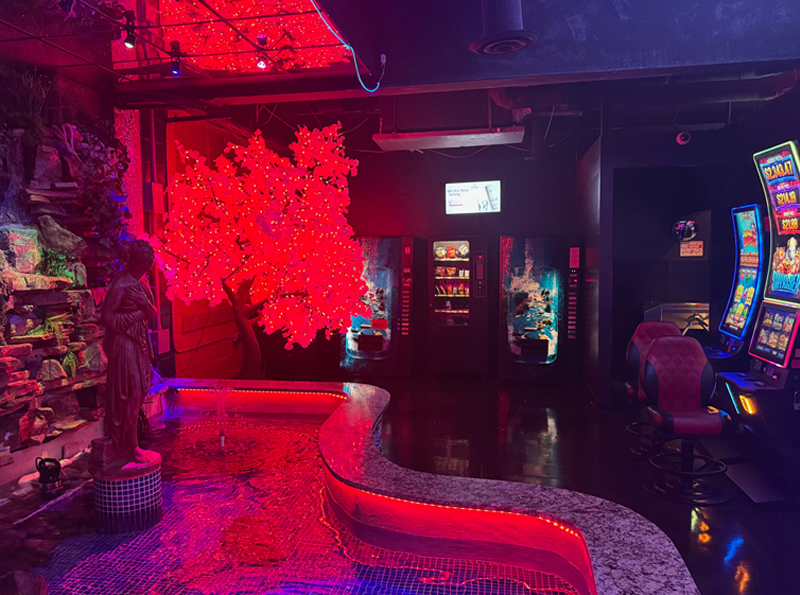Tokyo Valentino Lifestyle Club -  Swingers Erotic Cinemas