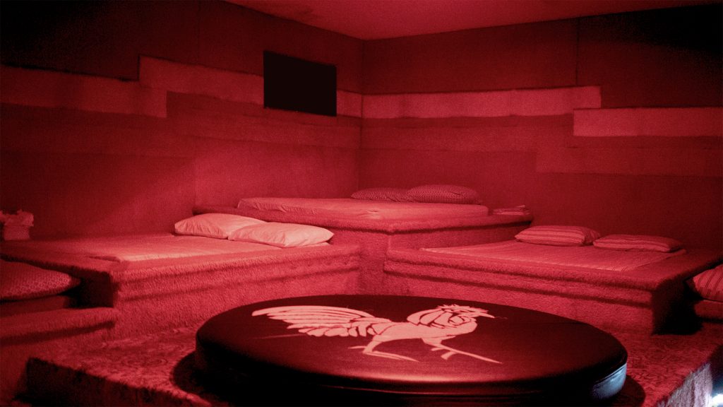 Red Rooster Las Vegas -  Swingers Erotic Night Club Fetish Adult Entertainment
