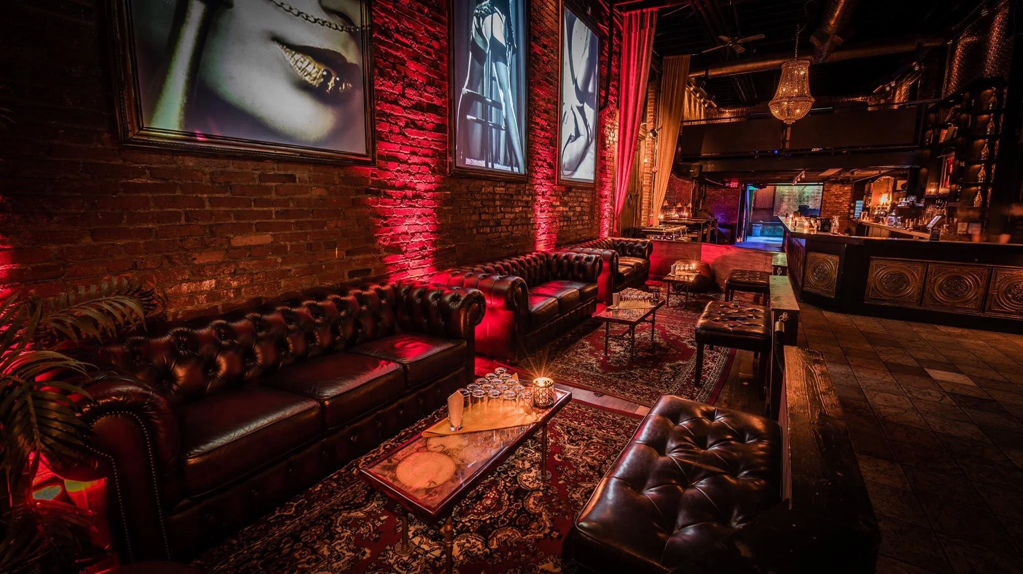 CAVO Nightclub Pittsburgh -  Erotic Night Club Cabaret Gentlemens Club