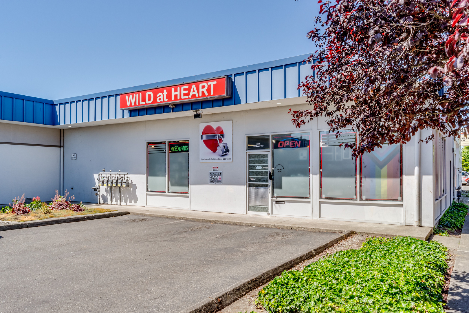 Wild at Heart -  Sex Shop