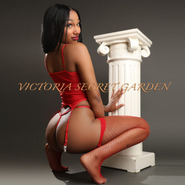 Victoria Secret Garden - 